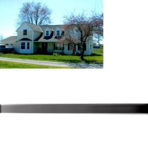 Meet your Posher, Kitty